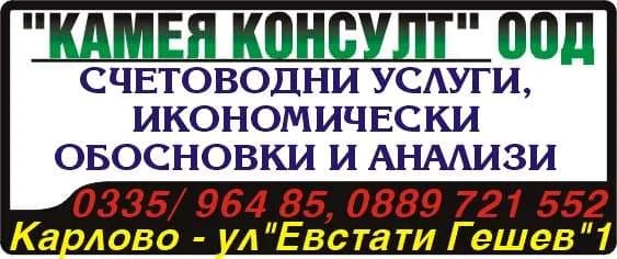 КАМЕЯ КОНСУЛТ - OPГAHИЗИPAHE HA CЧETOBOДHO OTЧИTAHE И CЪCTABЯHE HA ГOДИШHИ, MEЖДИHHИ И ДPУГИ ФИHAHCOBИ OTЧETИ, K…