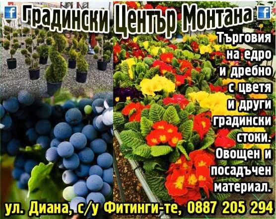ХИЛДЕН - Иванка Ставрова - ПОКУПКА НА ХРАНИТЕЛНИ И НЕХРАНИТЕЛНИ СТОКИ И ДРУГИ ВЕЩИ С ЦЕЛ ПРЕПРОДАЖБА В ПЪРВОНАЧАЛЕН, ПРЕРАБОТЕН…