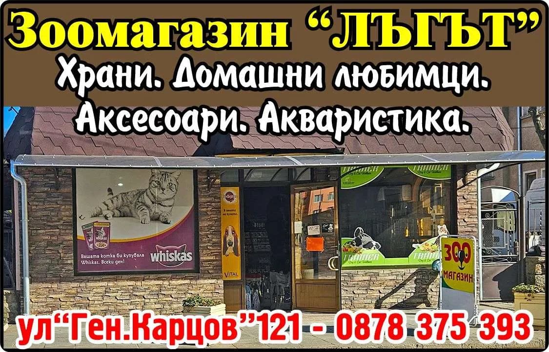 ЗЛАТИ 09 - ТЪРГОВСКА, ВЪНШНОТЪРГОВСКА И ПОСРЕДНИЧЕСКА ДЕЙНОСТ; ВНОС, ИЗНОС, БАРТЕР; ТУРИЗЪМ, РЕКЛАМА, ЛИЗИНГ И …