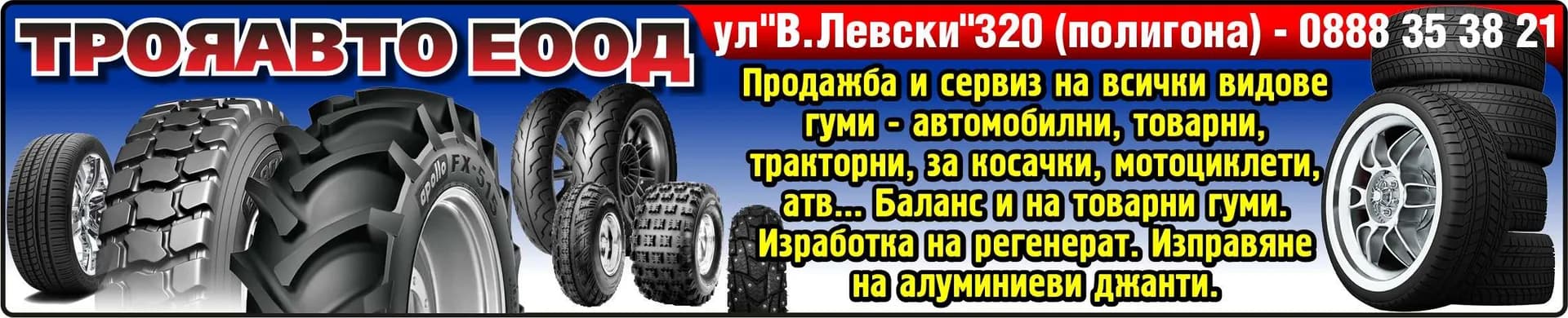 ТРОЯАВТО - ТЪРГОВИЯ С ХРАНИТЕЛНИ СТОКИ, БИТОВИ, ПРОМИШЛЕНИ И ДРУГИ СТОКИ В СТРАНАТА И ЧУЖБИНА, ПРОИЗВОДСТВО НА …