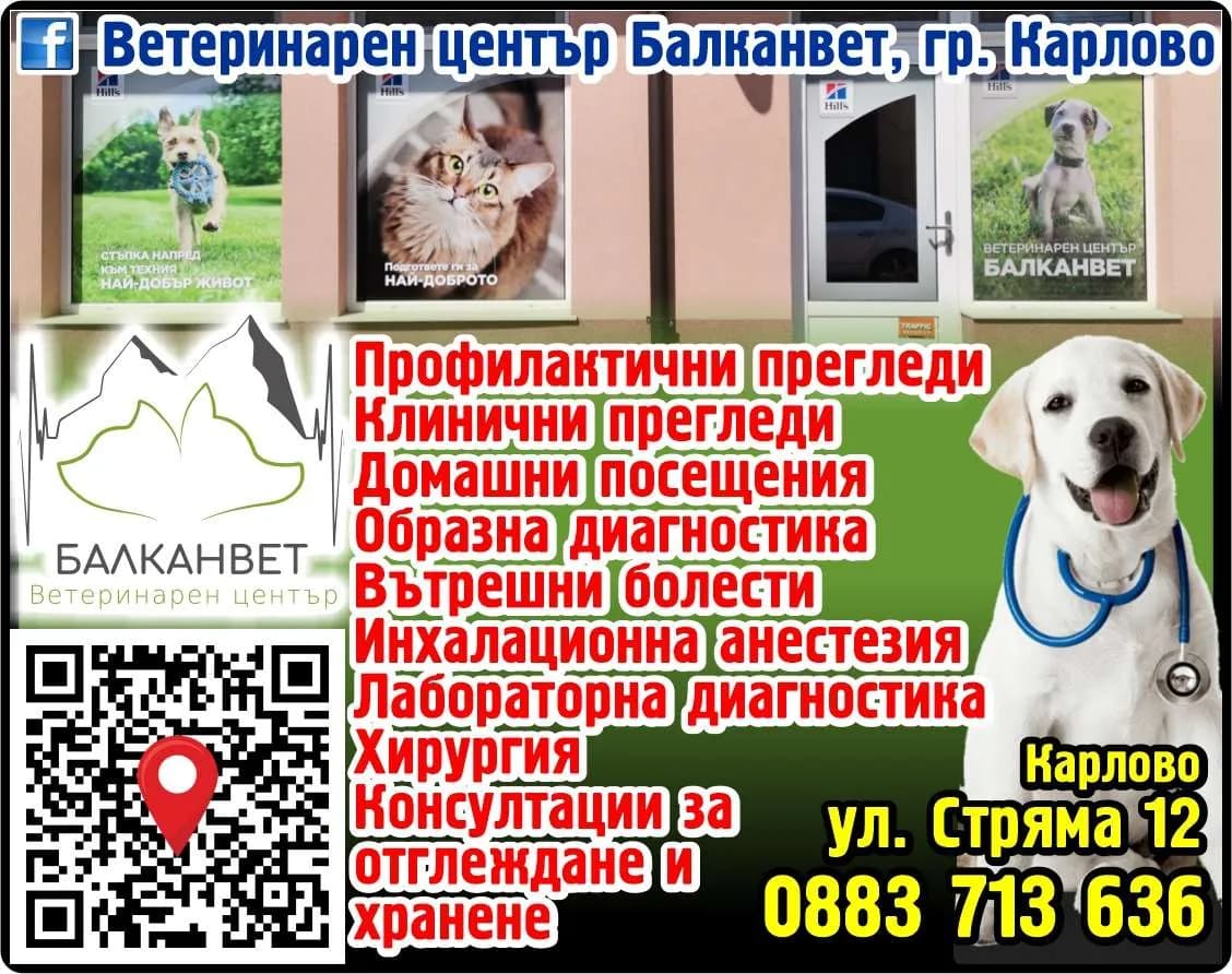 БАЛКАНВЕТ 2020 - Ветеринарно-медицински услуги, вътрешна и външна търговия с всякакви стоки, включително покупко- про…