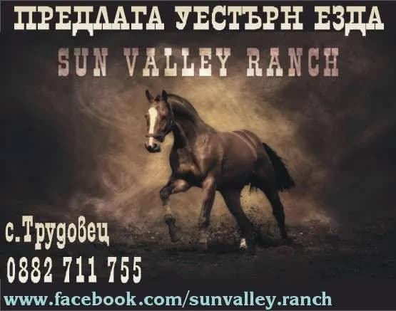 СИМ - 2002 - СТАЛИН МИТЕВ - РАЗКРИВАНЕ И ЕКСПЛОАТАЦИЯ НА ЗАВЕДЕНИЯ ЗА ОБЩЕСТВЕНО ХРАНЕНЕ, РЕСТОРАНТЬОРСТВО И ХОТЕЛИЕРСТВО, ТРАНС…