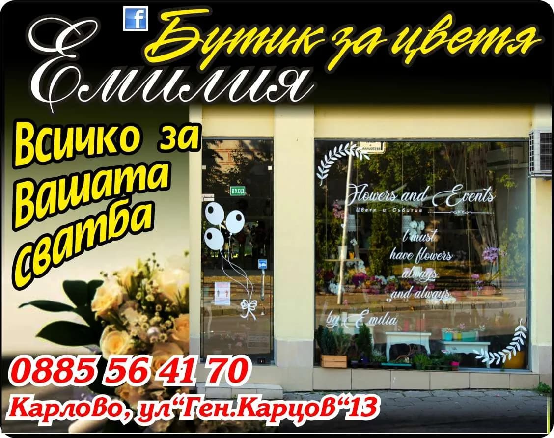 ЕМИЛИЯ С.А. 2011 - ОРГАНИЗАЦИЯ НА СВАТБЕНИ ТЪРЖЕСТВА; РЕСТОРАНТЬОРСТВО; ТЪРГОВИЯ НА ЕДРО И ДРЕБНО; ВЪТРЕШНО И ВЪНШНО ТЪ…