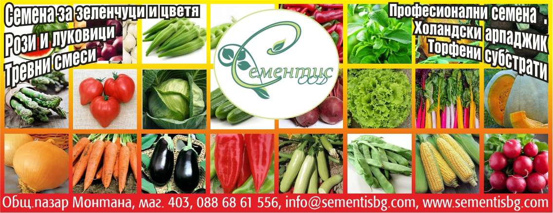 СЕМЕНТИС ООД - гр. Монтана, общ. Монтана, обл. Монтана, Общ.пазар Монтана, маг. 403